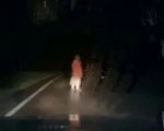 Dashcam: il trailer dell'horror found footage Blumhouse sul COVID-19