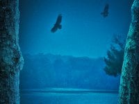 Ozark 4, recensione della seconda parte: non tutti i nodi vengono al pettine