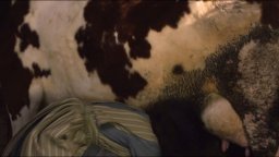 Due Donne Al Di Là Della Legge - Trailer