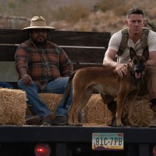 Io e Lulù: Channing Tatum durante una scena del film
