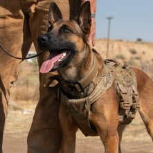 Io e Lulù: una scena del film