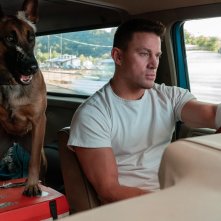 Io e Lulù: Channing Tatum in una foto del film