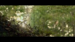 Where The Crawdads Sing - Trailer 2