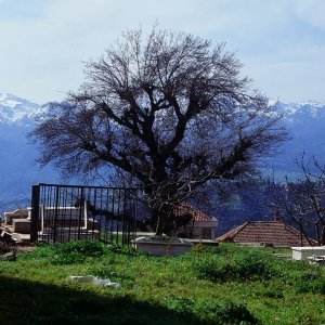 Mariner of the Mountains: un'immagine del film
