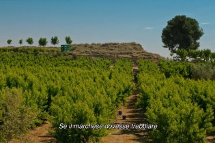 Alcarràs - Trailer Italiano