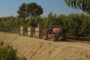 Alcarràs - Clip (3)