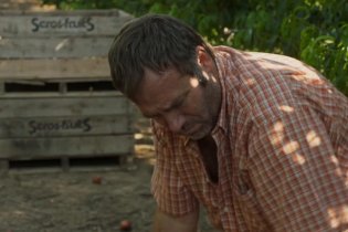 Alcarràs - Clip (4)