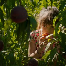 Alcarràs: una scena