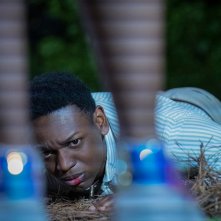 Emergency: un'immagine tratta dal film