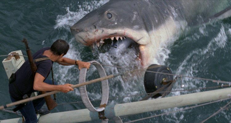 Lo squalo: attore bambino del film di Spielberg diventa capo della polizia di Amity Island