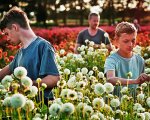 Close, la recensione: la storia di un'amicizia nell'opera seconda di Lukas Dhont