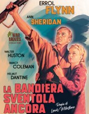 Locandina di La bandiera sventola ancora
