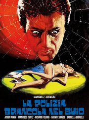 Locandina di La polizia brancola nel buio