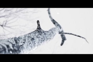 The Ballad Of Songbirds And Snakes - Teaser Trailer