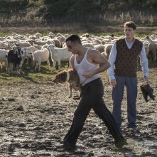 Come prima: Francesco Di Leva, Antonio Folletto in una scena con un gregge