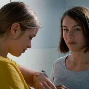 The Girl And the Spider: una scena del film