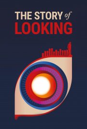 Locandina di The Story of Looking
