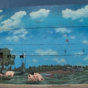 The Story of Film - A New Generation: un'immagine del film