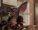 Gremlins 3 è stato rinviato: il nuovo film con Spielberg e Chris Columbus non arriverà a breve