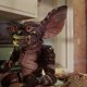 Gremlins 3 è stato rinviato: il nuovo film con Spielberg e Chris Columbus non arriverà a breve