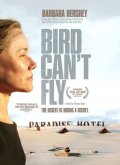Locandina di The Bird Can't Fly