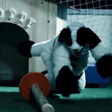 Io e Spotty: una scena del film