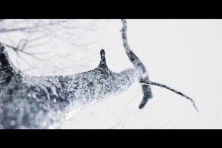 Hunger Games - La ballata dell'usignolo e del serpente - Teaser Trailer Italiano