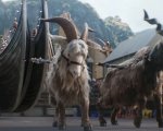 Thor: Love and Thunder, Taika Waititi svela che le urla delle capre sono ispirate a un meme di Taylor Swift