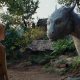 Eragon: il romanzo di Christopher Paolini diventerà una serie per DIsney+
