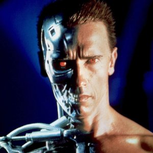 Building Arnold Schwarzenegger: un'immagine
