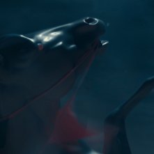 Nope: un'immagine del film