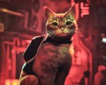 Stray, la recensione: Il gioco che vi porta dove nessun gatto è mai andato prima