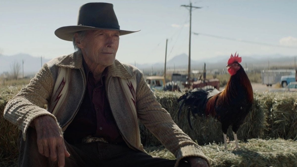Cry Macho   Ritorno a casa: la trama del western diretto da Clint Eastwood, stasera su Sky Cinema e NOW