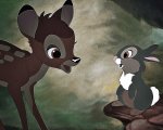 Bambi: dopo 80 anni ancora non smettiamo di piangere