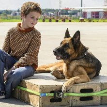Palma - Un amore di cane: una scena del film