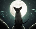 The Sandman, la recensione dell'episodio speciale: sogni di libertà