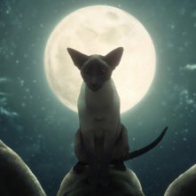 The Sandman: un'immagine del doppio episodio speciale Il sogno di mille gatti / Calliope