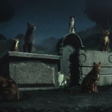 The Sandman: una scena del doppio episodio speciale Il sogno di mille gatti / Calliope