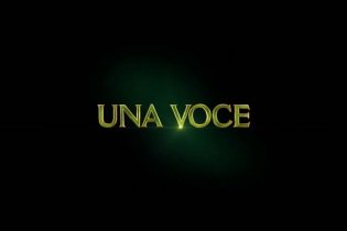 Il Talento Di Mr. Crocodile - Trailer Italiano