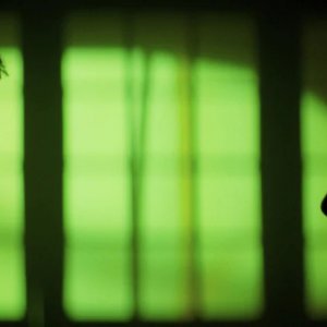 Rumore Bianco: Greta Gerwig, Adam Driver in una scena del film