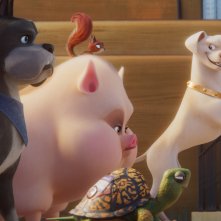 DC League of Super-Pets: una sequenza del film d'animazione