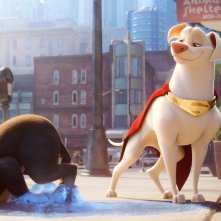 DC League of Super-Pets: un'immagine del film animato