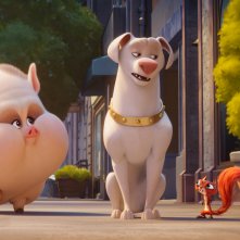DC League of Super-Pets: un momento del film