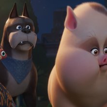 DC League of Super-Pets: una sequenza del film