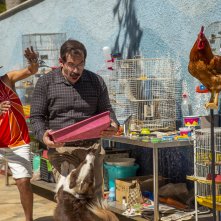 Vicini per forza: una foto del film