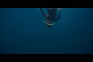 Blueback - Trailer