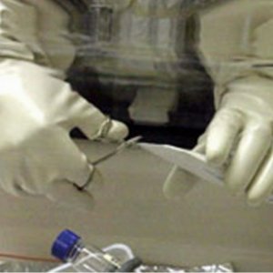 The Anthrax Attacks - L'indagine sul killer dell'antrace: un'immagine