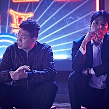 Nido di vipere: una foto