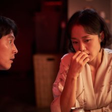 Nido di vipere: una foto del film