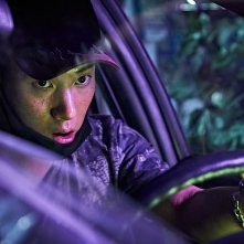 Nido di vipere: una sequenza del film